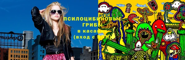 PSILOCYBIN Армянск