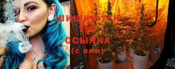 PSILOCYBIN Армянск