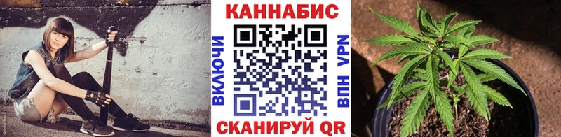 Бошки Шишки VHQ  Павлово 